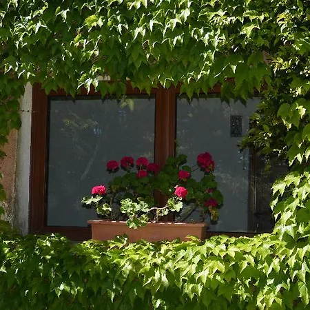 Hotel Valdiola Porto Cervo