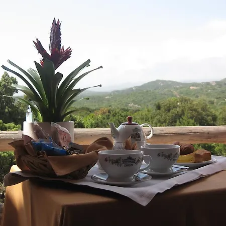 Valdiola Porto Cervo