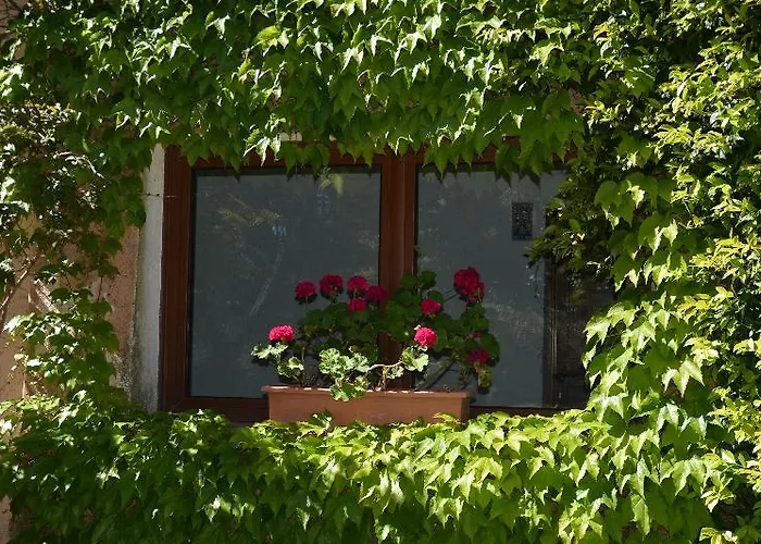 ホテル ヴァルディオーラ ポルト・チェルボ